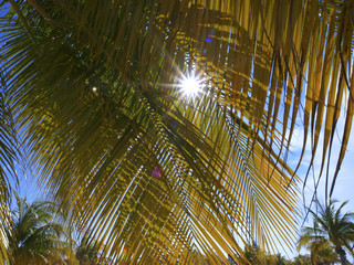 Cayo Largo del Sur, Touristenressort, Kuba