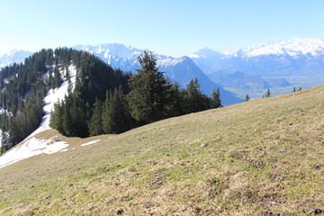 Obraz premium Landscape of snowy Alp mountains with forests, taken from Alpspitz peak in Gaflei village in the municipality of Triesenberg in Principality of Liechtenstein.