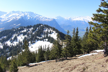 Landscape of snowy Alp mountains with forests, taken from Alpspitz peak in Gaflei village in the...