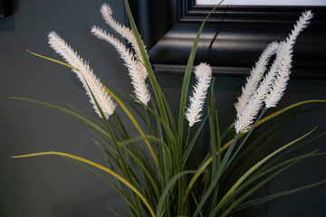vase with pampas grass The Scandinavian interior is smart and minimalistic.