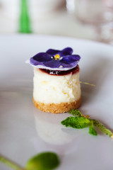 Delicious cheese cake dessert with a purple flower on top