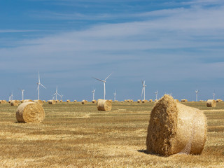 Renewable energy wind turbines in a harvested agricultural field with hay bales on the background a...