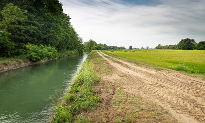 a dirt road along the Quintino Sella Irrigation Canal next to Garlasco, province of Pavia,...