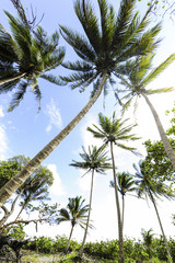 Kuba, Guantanamo, Baracoa