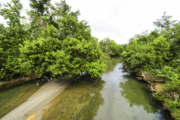 Kuba, Guantanamo, Baracoa, Naturpark Yunque