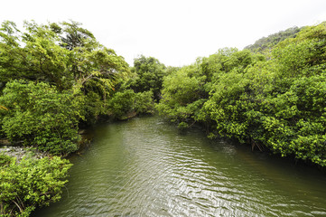 Fototapeta na wymiar Kuba, Guantanamo, Baracoa, Naturpark Yunque