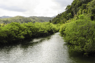 Kuba, Guantanamo, Baracoa, Naturpark Yunque