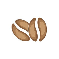 coffee beans template vector icon illustration