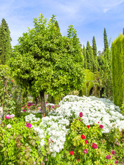 Granada, Spanien, Alhambra und Gartenanlage Generalife, Andalusi