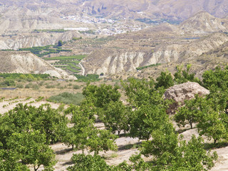Fototapeta na wymiar Karge Gebirgslandschaft in Andalusien, Spanien, Andalusien