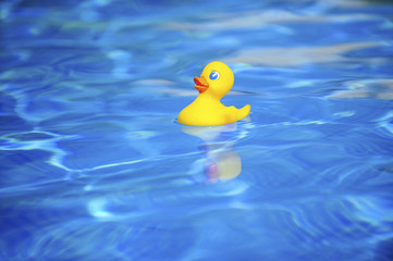 Ente, Badeente