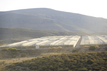 Spanien, Andalusien, Almeria, Mar del Plastico, Anbaufächen in