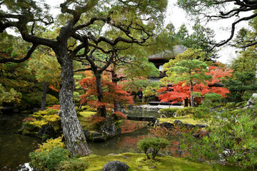 Beautiful fall colors in Ginkaku-ji Silver Pavilion during the autumn season in Kyoto