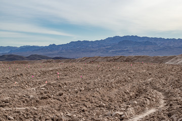 USA, Nevada, Clark County, Lake Mead National Recreation Area. Flags mark seeding areas in...