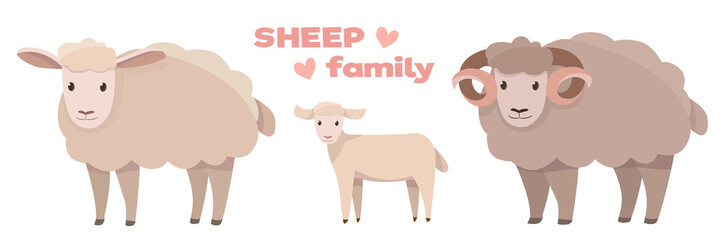 Vector illustrations of sheep family isolated on a white background in cartoon style.