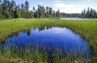 Fototapeta na wymiar Seelandschaft, Finnland