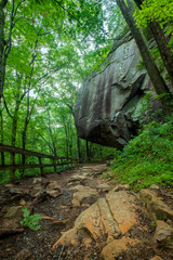 Cherokee Falls Trail, Cloudland Canyon State Park, Georgia, USA	