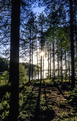 Obraz premium Nadelwald, Finnland, Nordostfinnland, Suomussalmi