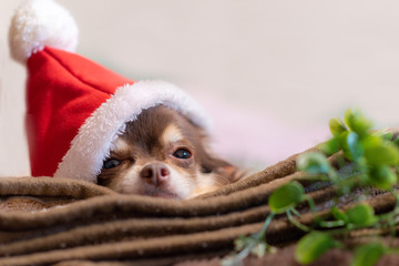 サンタクロース