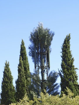 Mobilfunksender, getarnt als Baum