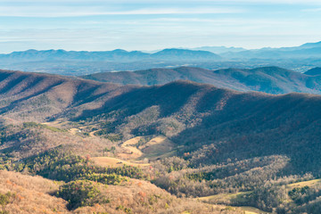 Trees on a cliff on the background of Appalachian mountains