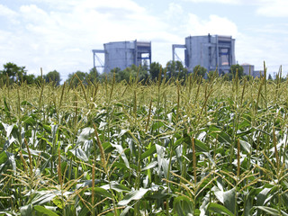AkW, Atomkraftwerk bei Blois in Frankreich, Frankreich, Loire-Ta