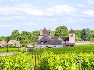 Fototapeta na wymiar Weinort Clos De Vougeot, Burgund, Frankreich, Clos De Vougeot