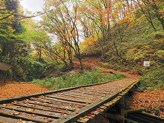 autumn in the mountain
