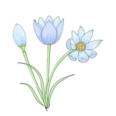 concept of spring wildflowers in doodle style isolated on white background