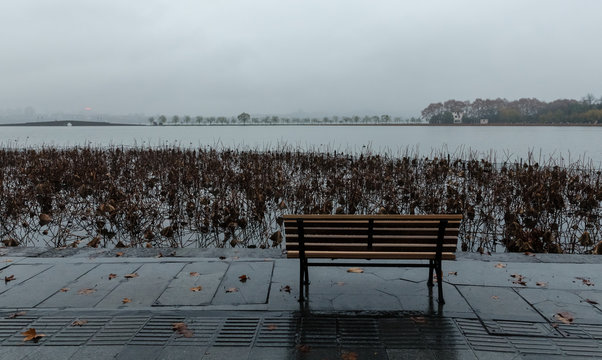 Northern bank with an empty bench facing West Lake and faded lotuses, and Jingdai Bridge on Bai Causeway and Gushan Islet on the background in cloudy winter morning, Xihu, Hangzhou, Zhejiang, China. © NG-Spacetime