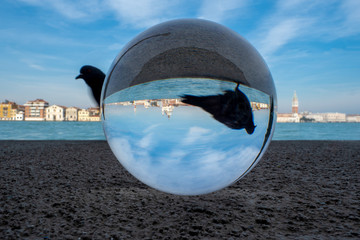 Venice Italy in glass, crystal ball.  Walking  Pigeon. View from Giudecca to Sana Maria della Salute.