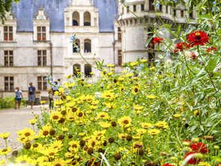 Obraz premium Chateau d Azay le Rideau, Frankreich, Loire-Tal, Azay le Rideau