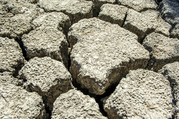 Bodenschollen, Frankreich, Camargue, Les Saintes-Maries-de-la-Me