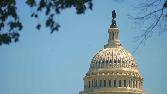 The United States Capitol building.The home of the United States Congress and the seat of the legislative branch of the U.S. federal government. Washington DC, USA. 21 August 2019