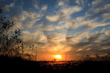 Fototapeta premium 아름다운 노을