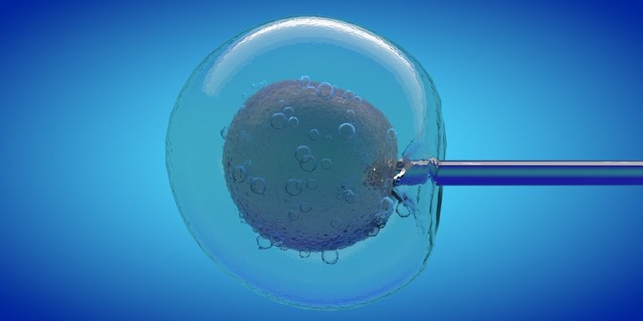 IVF cell and needle injecting, 3D CGI render with blue color, cell stung by a medical needle