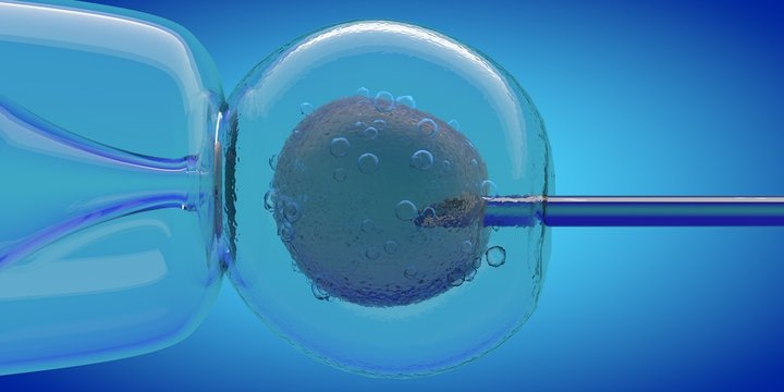 IVF cell and needle injecting, 3D CGI render with blue color, cell stung by a medical needle