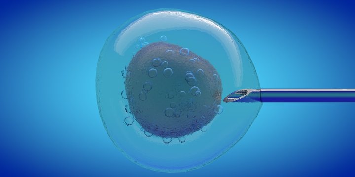 IVF cell and needle injecting, 3D CGI render with blue color, cell stung by a medical needle