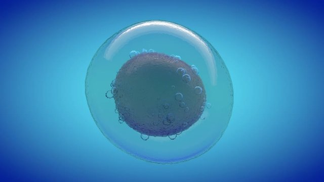 Single cell 3D CGI render on blue background