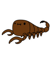 Kleiner süßer Skorpion 
