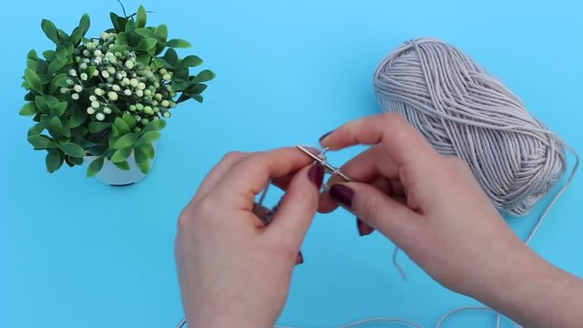 Female hands knits with needles top view, blue background and succulent