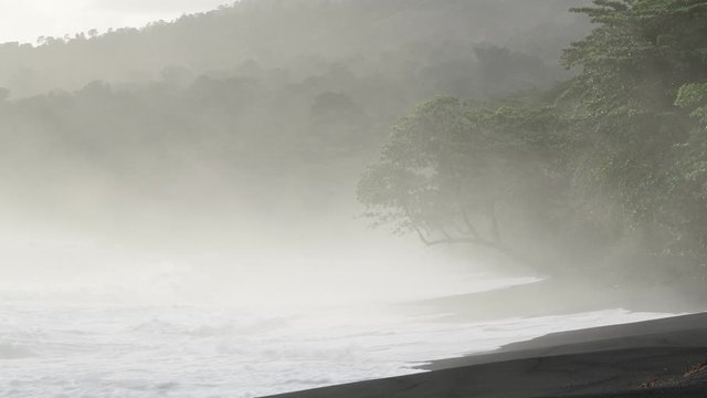 Sandy beach in the morning mist. Black sand volcanic beach in Tangkoko National Park. Early fogy morning on the coast of Tangkoko National Park. Sulawesi. Indonesia