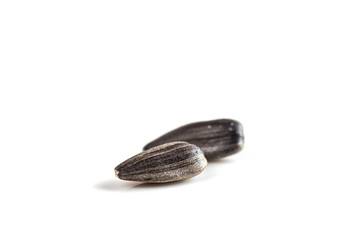 Sunflower Seeds on white background. Helianthus annuus.