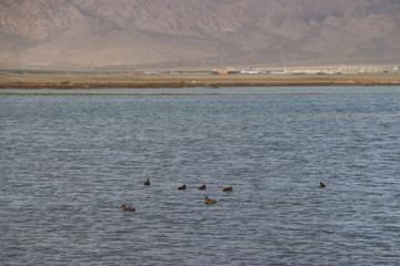 Dachaidan Emerald Salt Lake in Qinghai Province, China