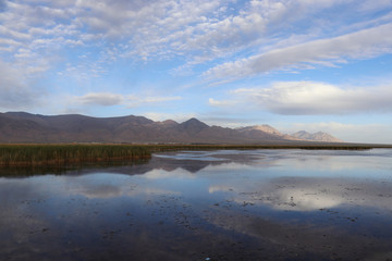 Dachaidan Emerald Salt Lake in Qinghai Province, China