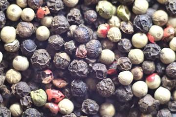 Peas white, black, red, green peas.