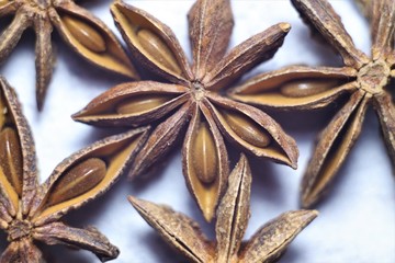 Spice, dried fruits of star anise.