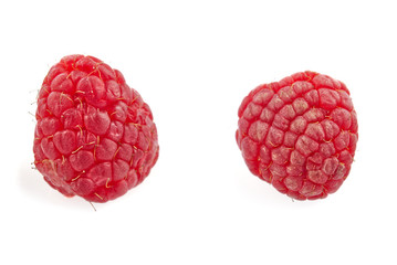 Collection of ripe red raspberries on white background.