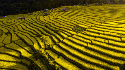 Rice terrace fields or Ladder rice field in aerial view at Pabongpeang , Maejam Village , Chaingmai Province of Thailand