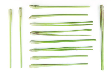 bundle lemon grass on white background.